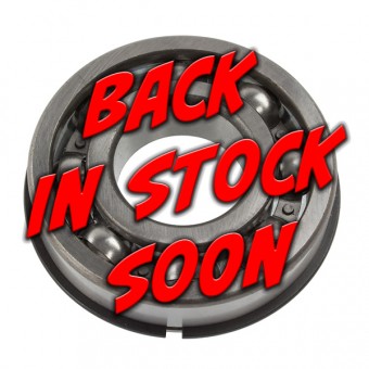 Muncie 4 Speed Rear Bearing