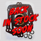 Muncie Gasket and Seal Kit  for 27 Spline Output 1963 - 1970